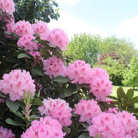 Le Clos Des Roses Saint-Règle Dış mekan fotoğraf