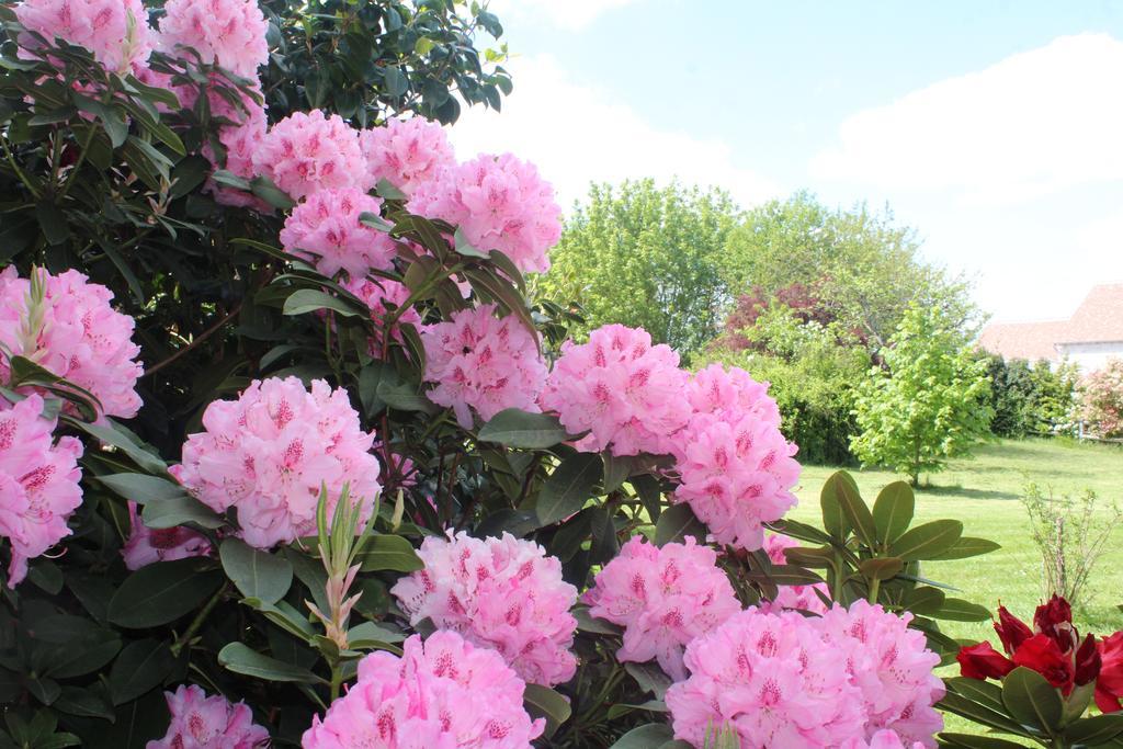 Le Clos Des Roses Saint-Règle Dış mekan fotoğraf